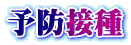 �\�h�ڎ�
