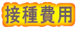 �ڎ��p
